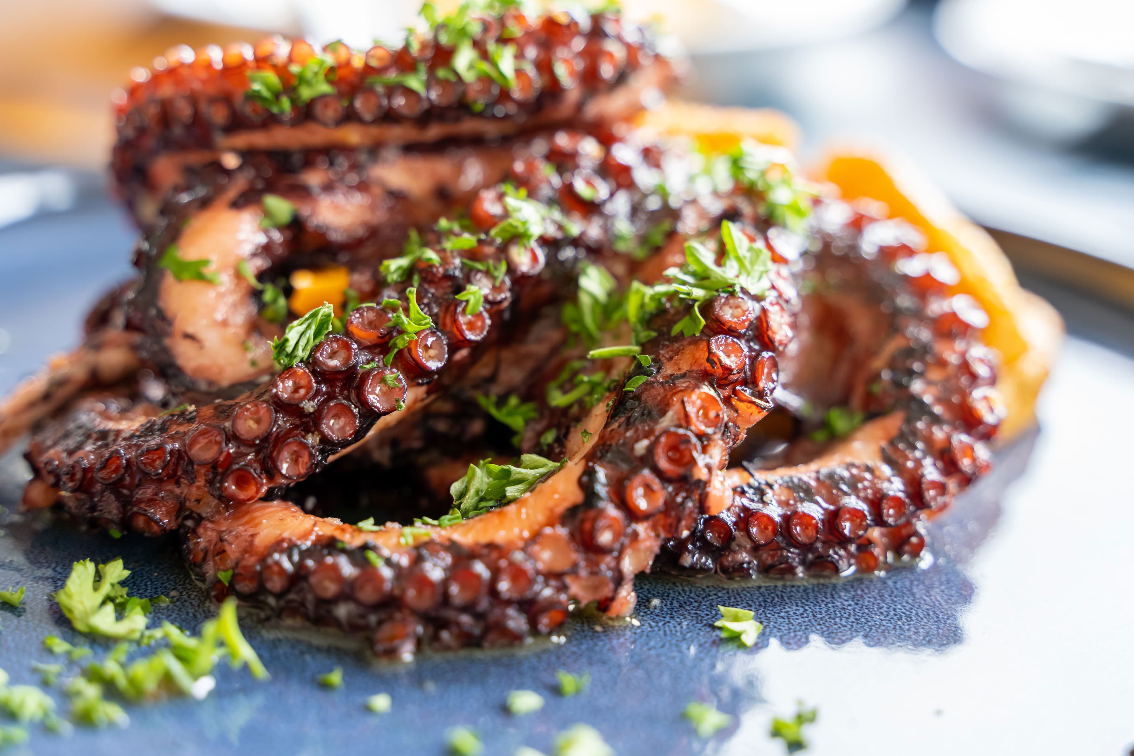 Grilled Octopus with Mediterranean Herbs